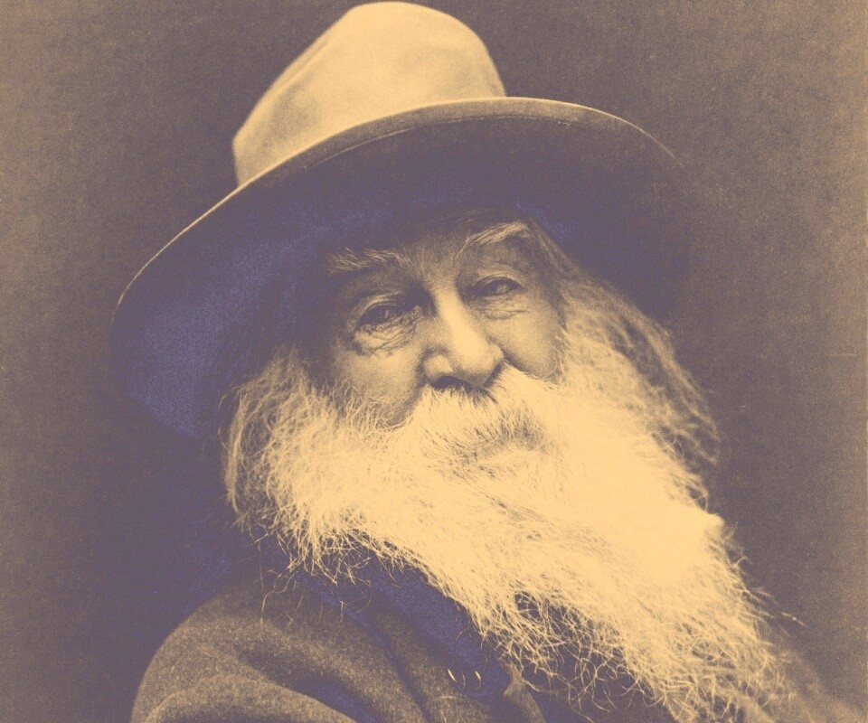 Уолт Уитмен обои