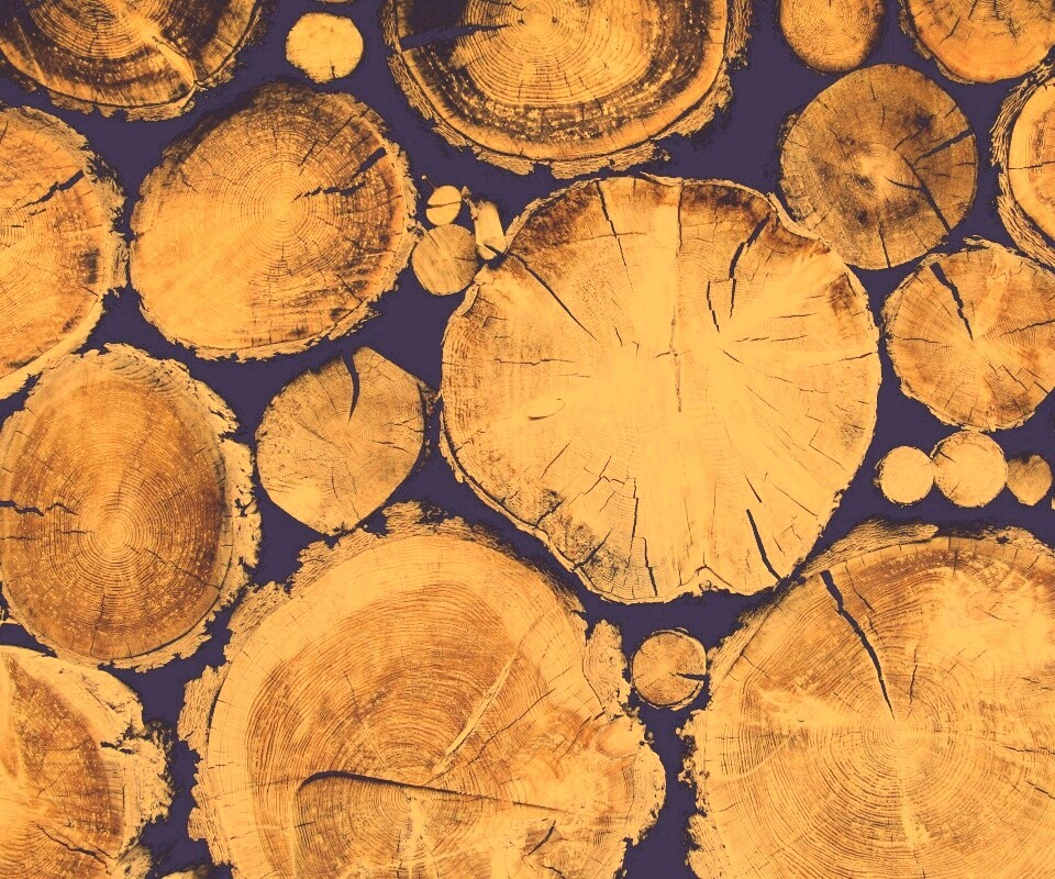 Древесный спил обои