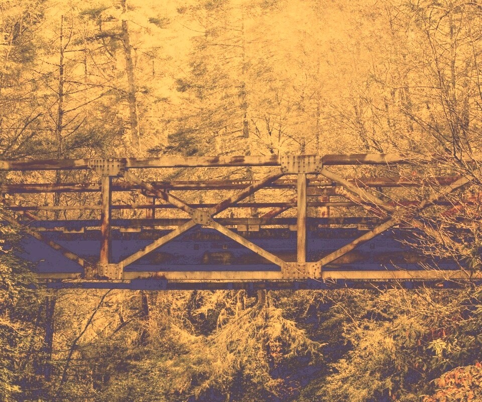 Металлический мост в лесной глуши обои