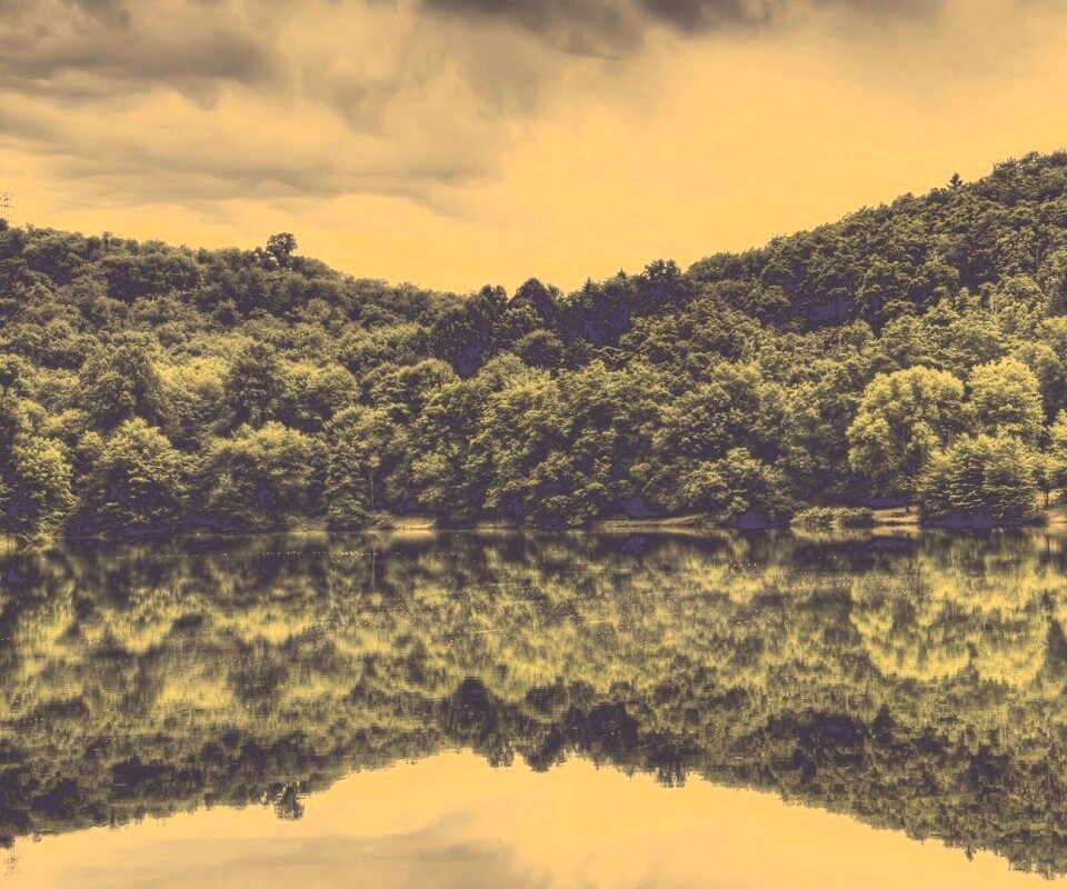 Лесной берег обои