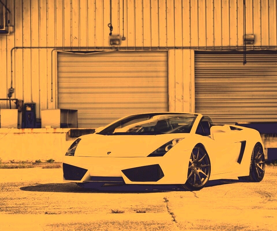 Белый спорткар Ламборгини Галлардо обои