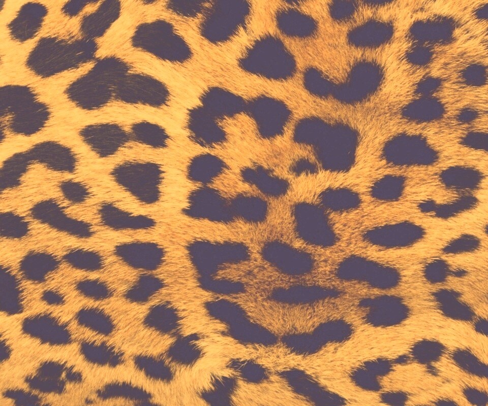 Шкура гепарда обои