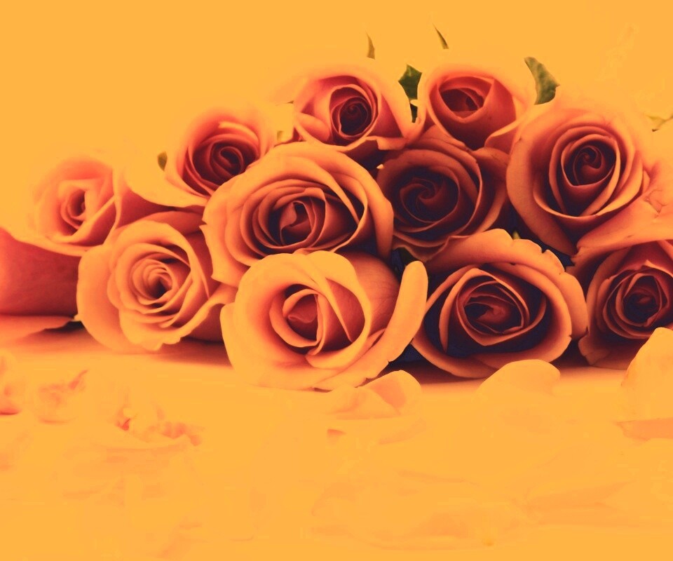Букет роз обои