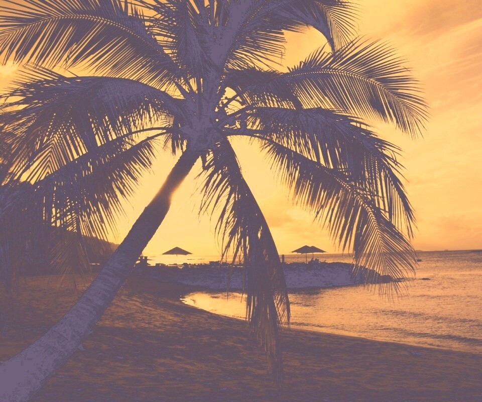 Пляж на закате обои