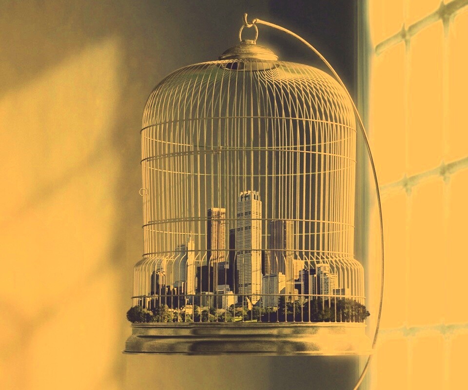 Город в клетке обои