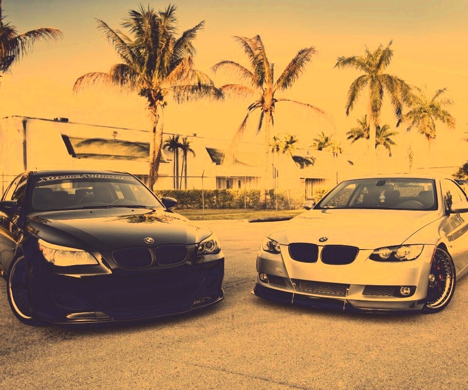 Две БМВ обои