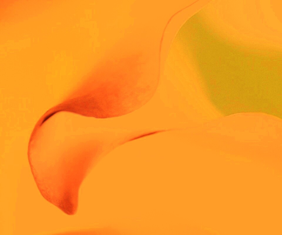 Оттенки природы обои