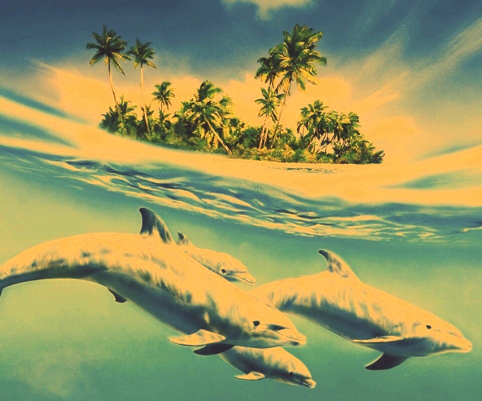 Остров дельфинов обои