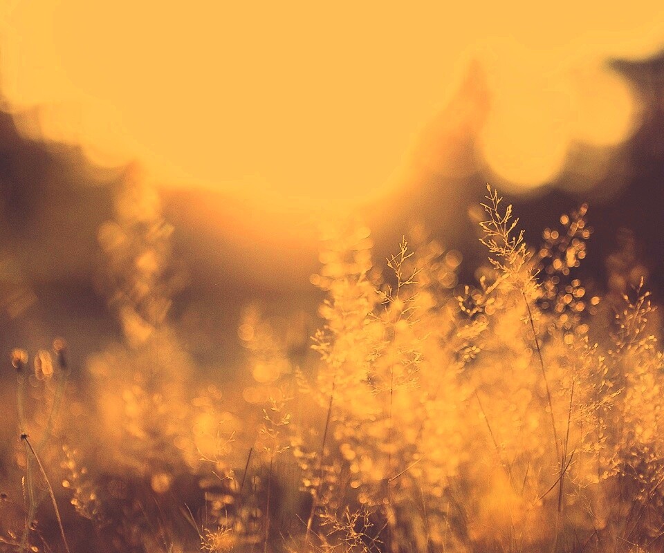 Посмотри на этот мир обои