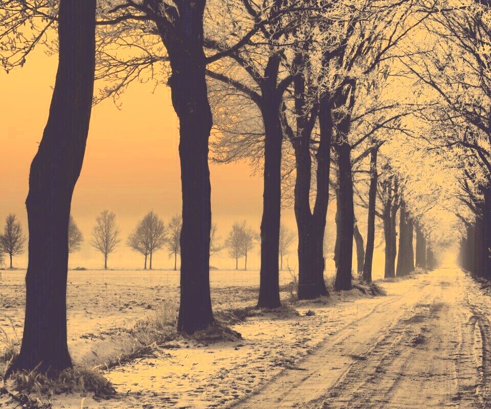 Морозное утро обои