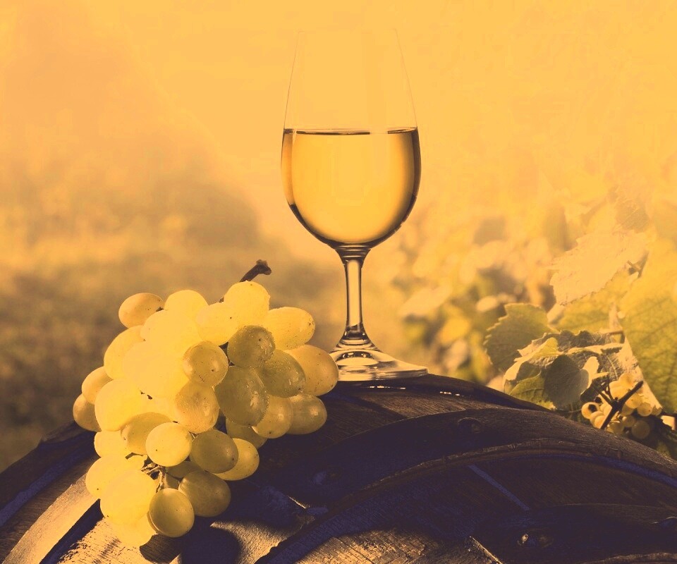 Винная бочка и бокал с белым вином обои