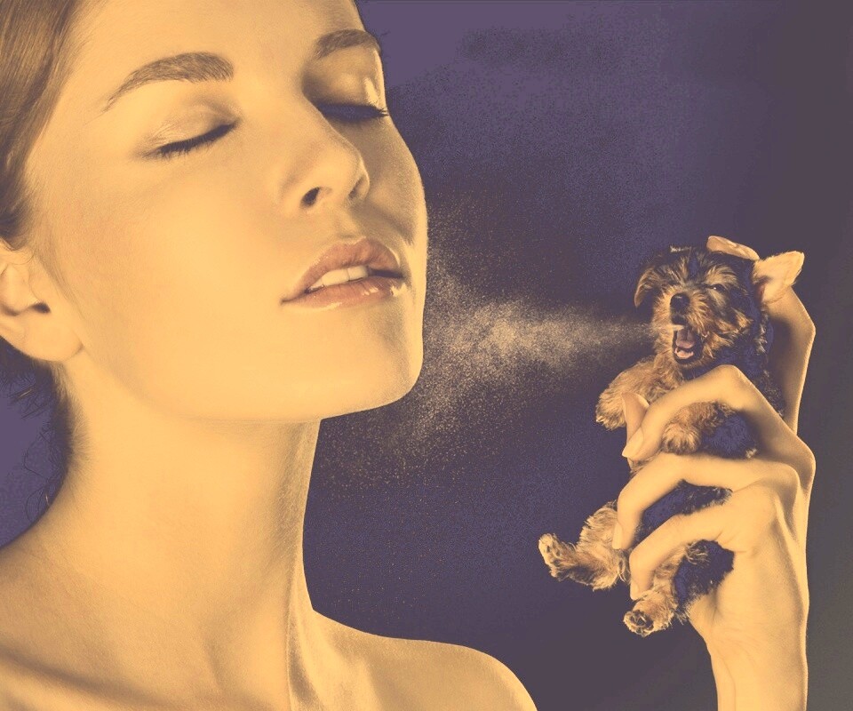 Соблюдайте гигиену обои