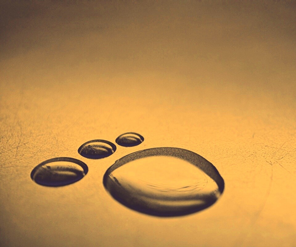 Капли воды обои