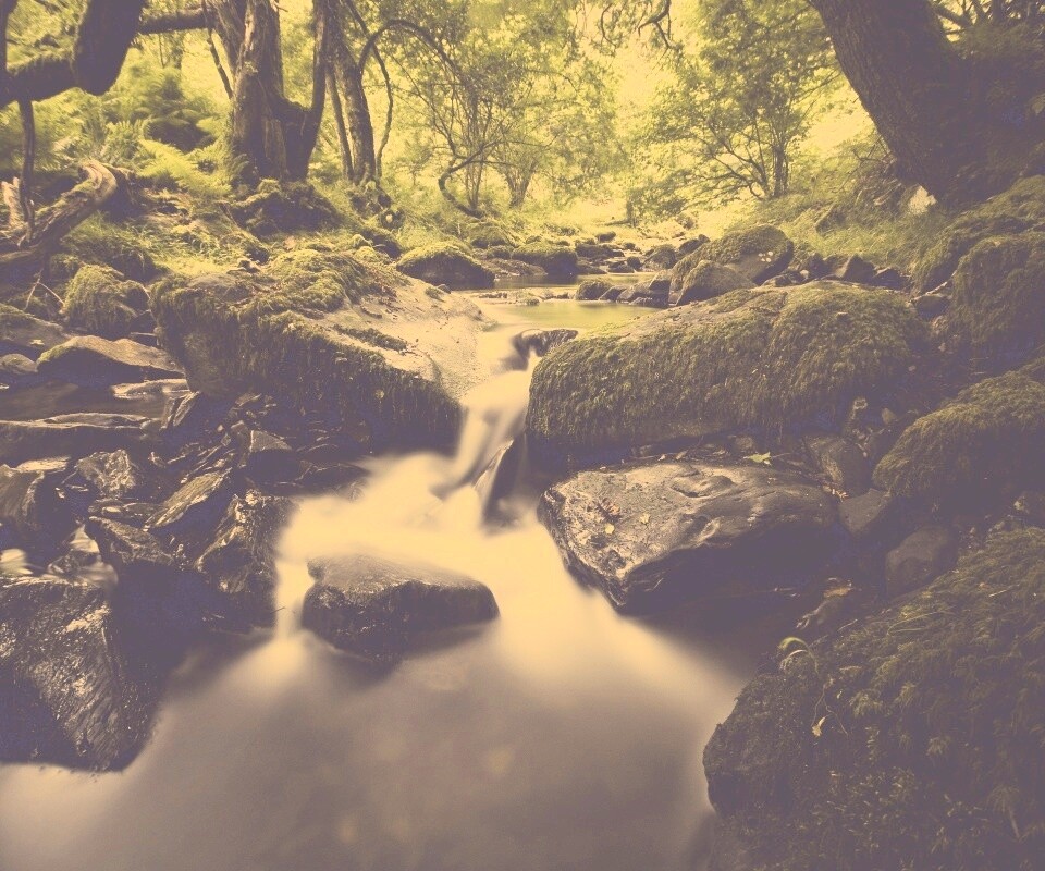 Речной поток в лесу обои