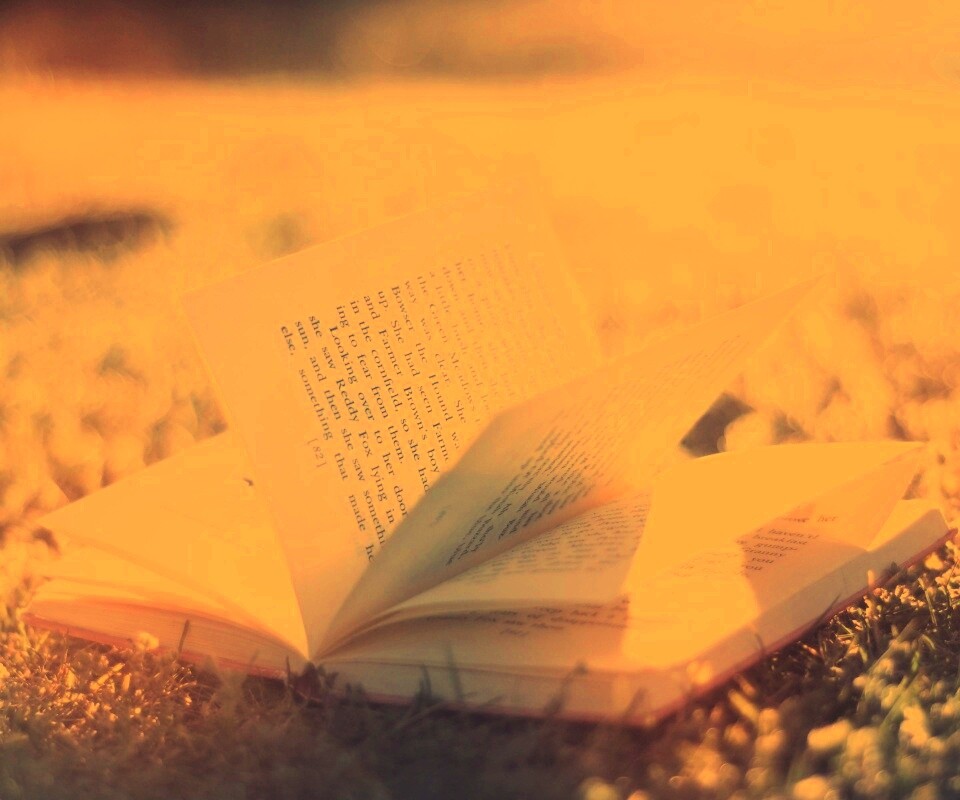 Книга в нежном свете обои