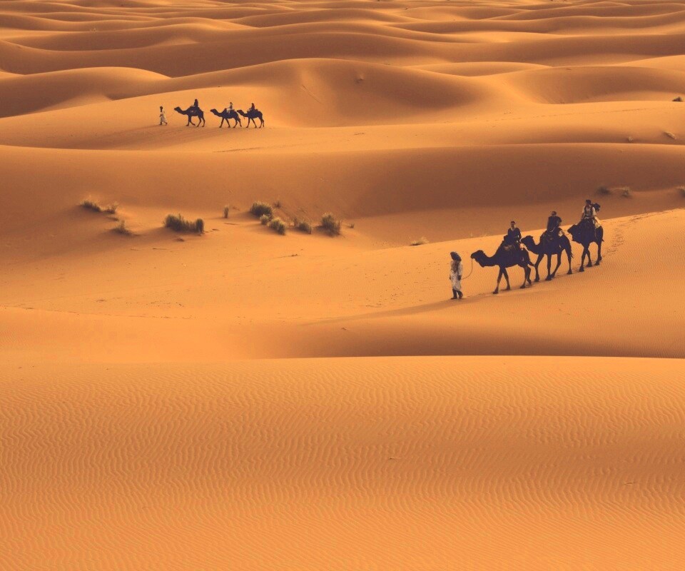 Караваны пустыни обои