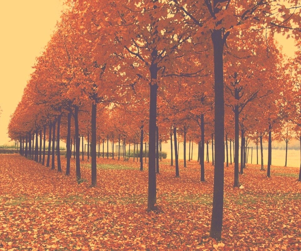 Скачать бесплатно осень обои