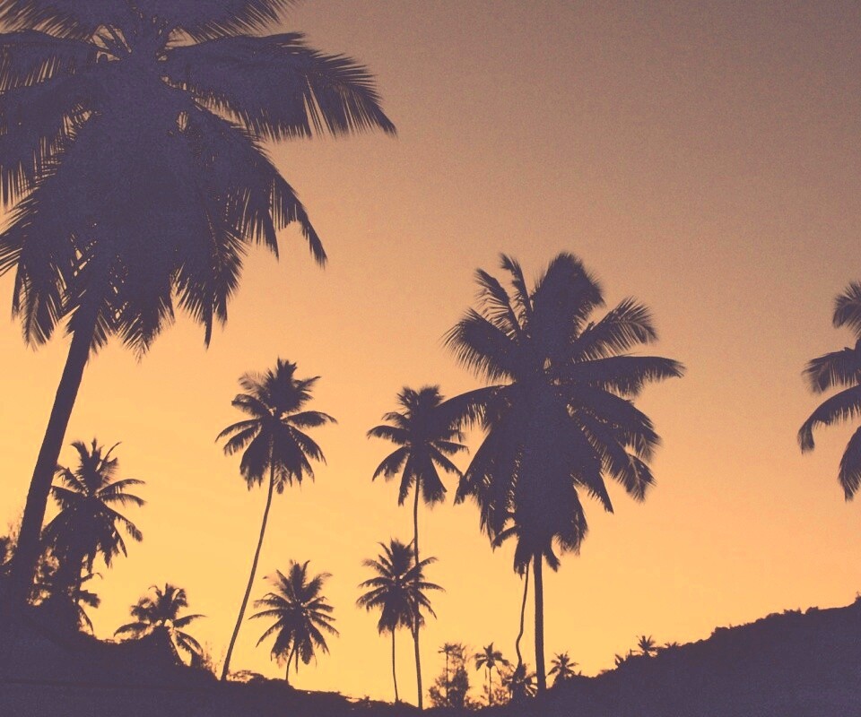 Пальмы на фоне фиолетового неба обои