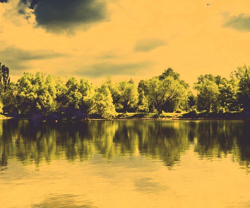 Деревья на берегу озера обои