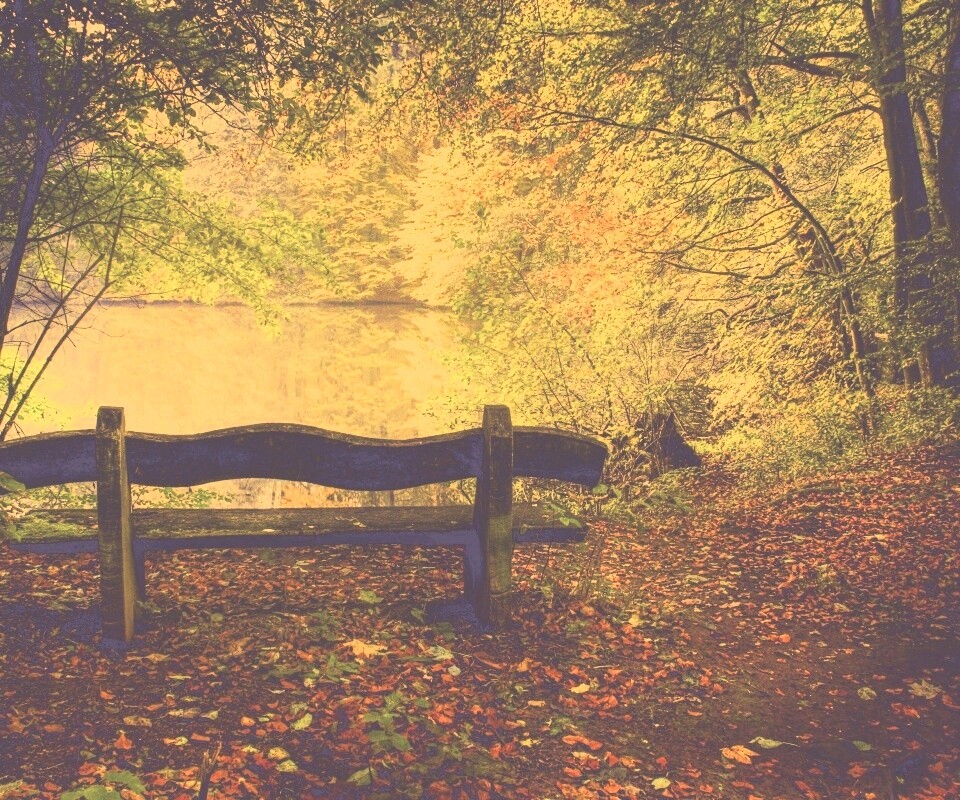 Скамейка в лесу обои