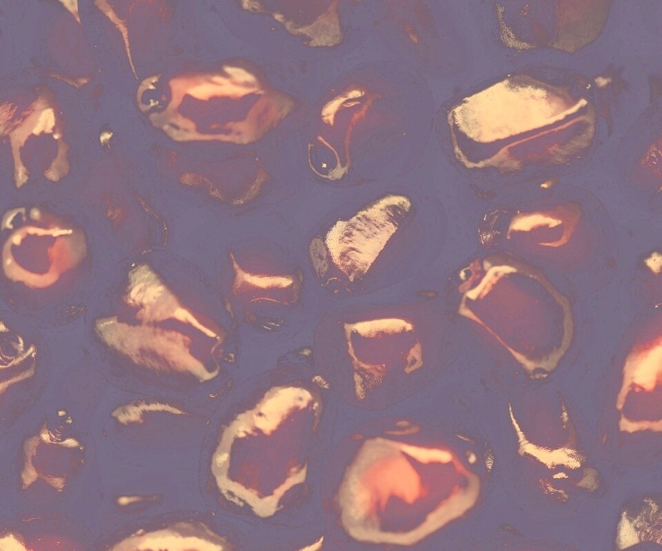 Ядра граната обои