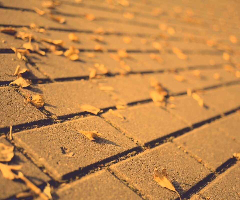 Тротуар обои