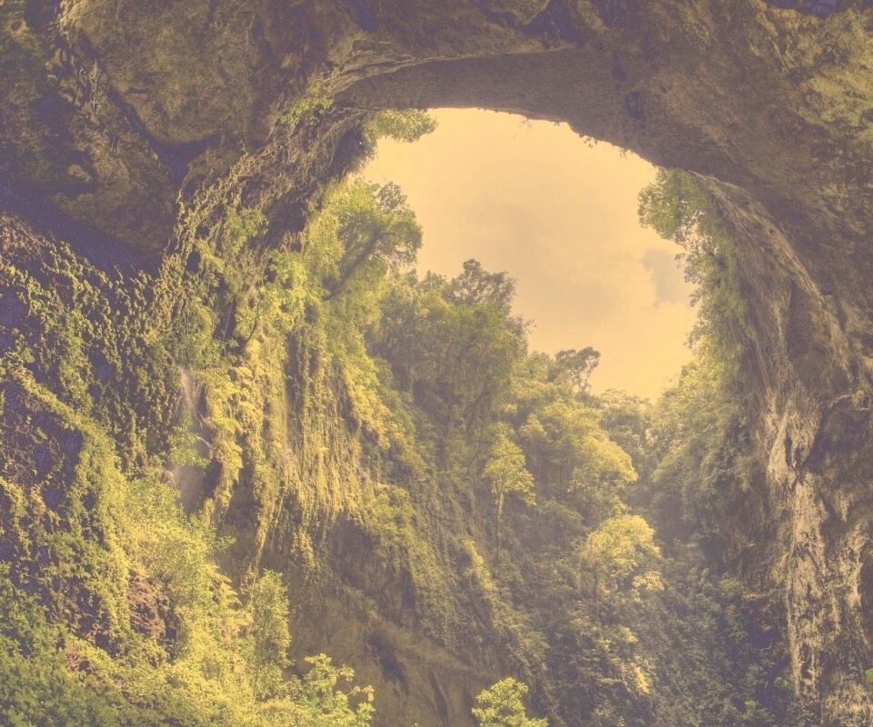 Заросшее ущелье обои