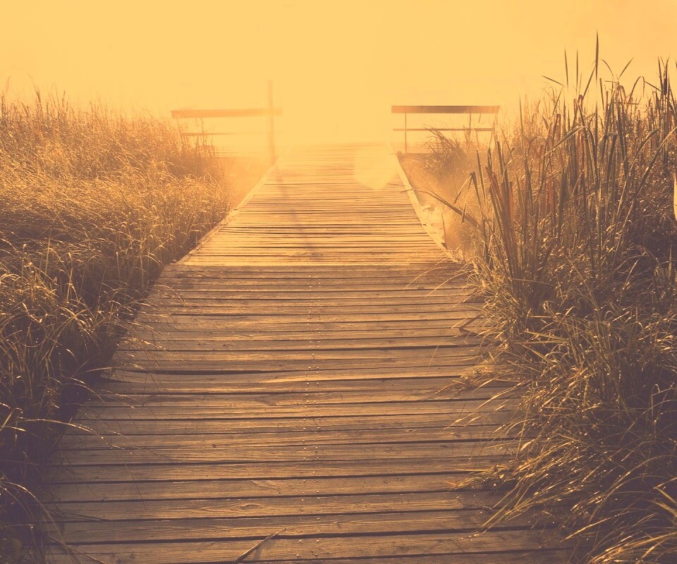 Выход к реке обои