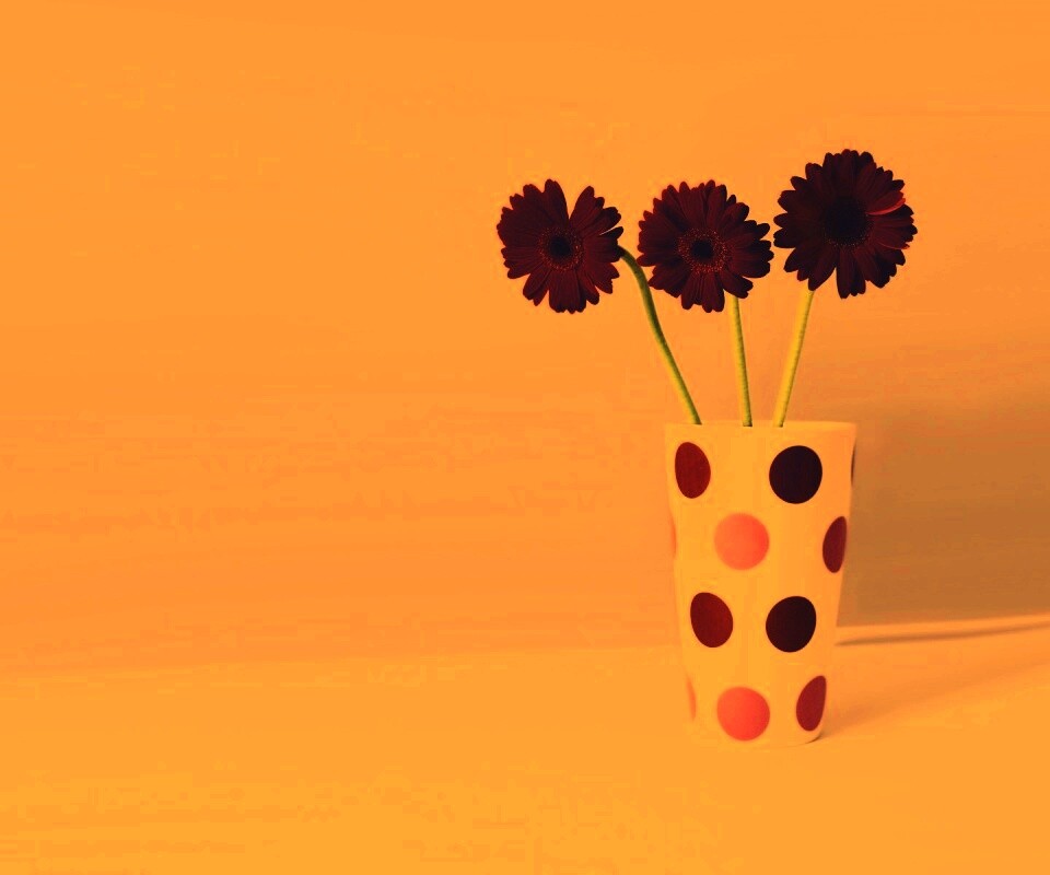 Вазочка с тремя красными герберами обои