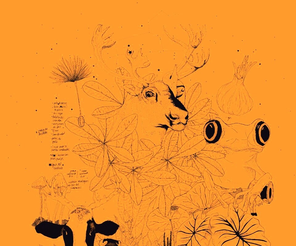 Животные на рабочий стол Apple обои