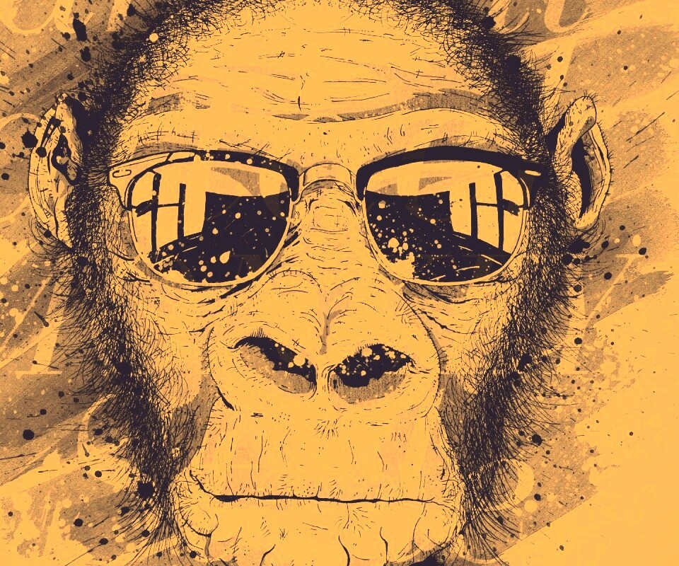 Макака в очках обои