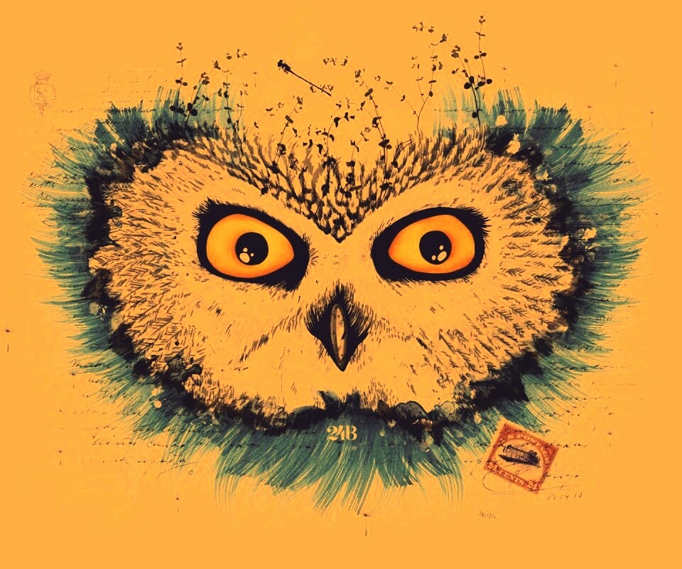 Обои сова для mac book обои