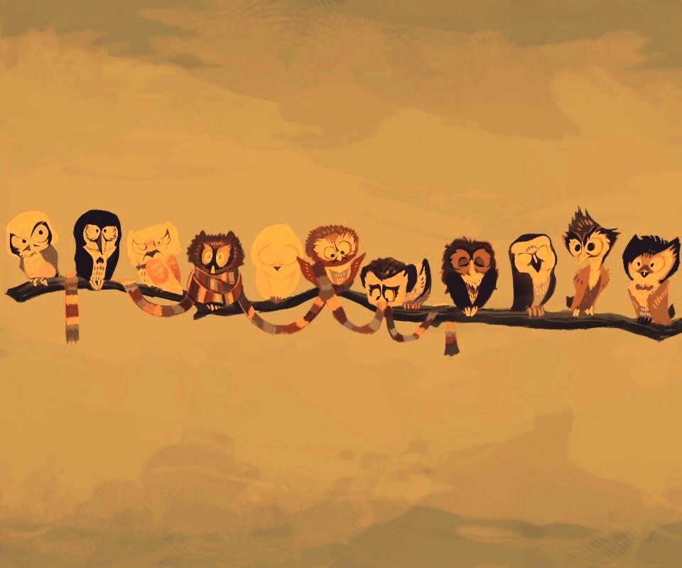 Совы на ветке обои