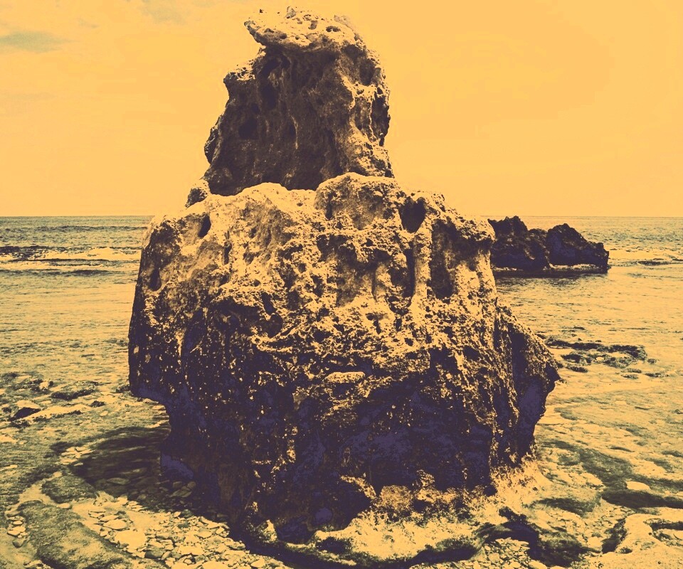 Коралловый риф обои