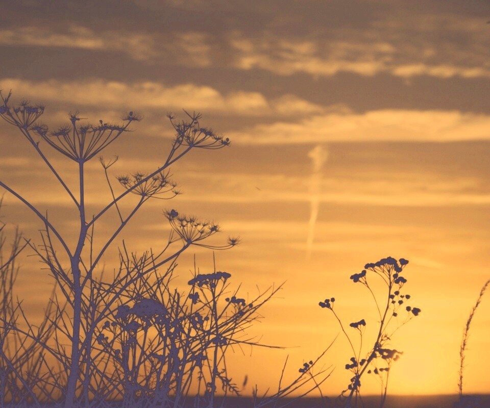 Степной закат обои