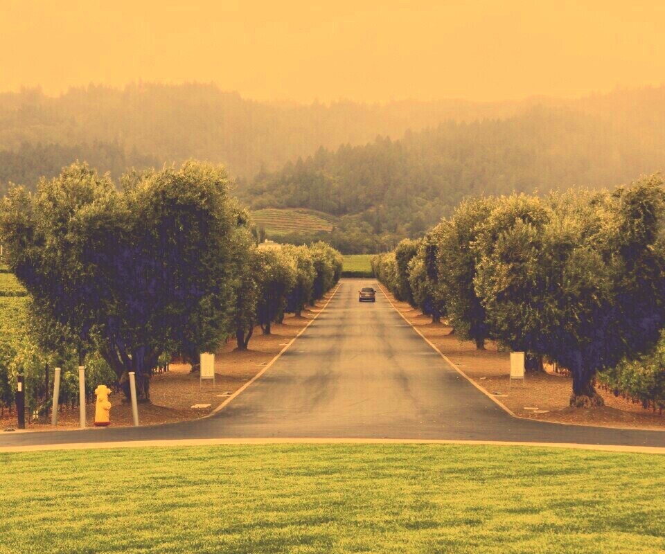 Сельский пейзаж обои