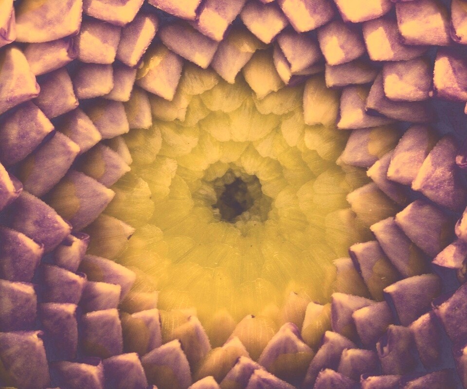 Сердцевина цветка обои