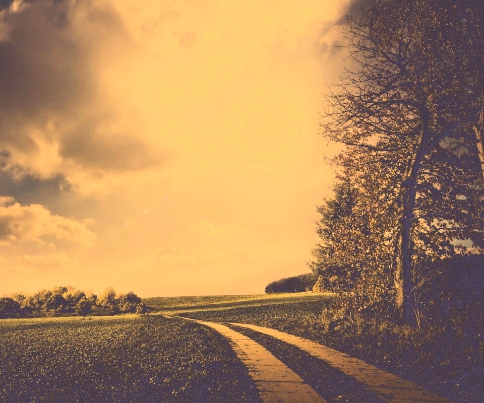 Солнечные холмы обои