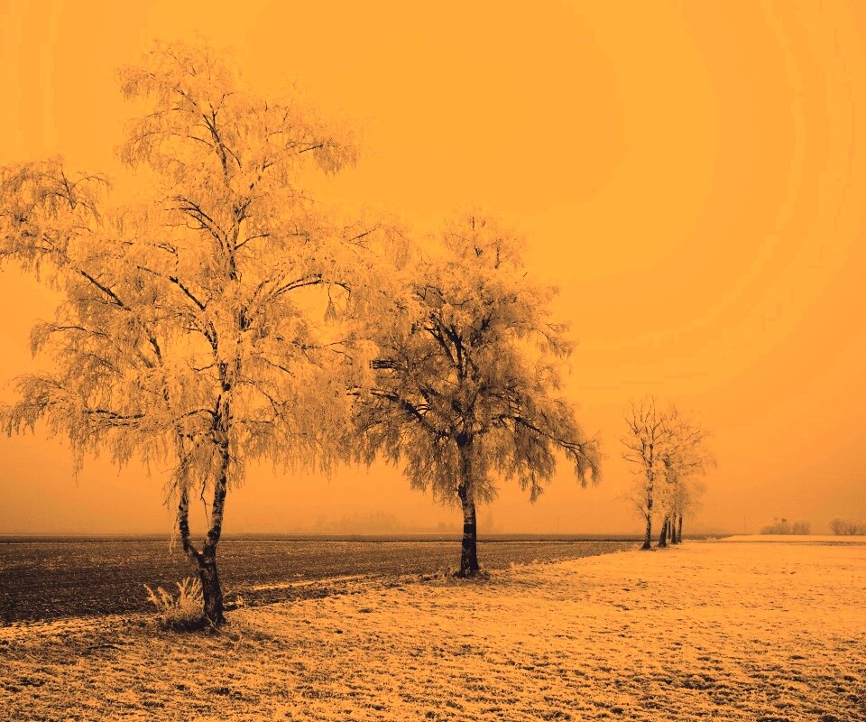 Первый снег обои