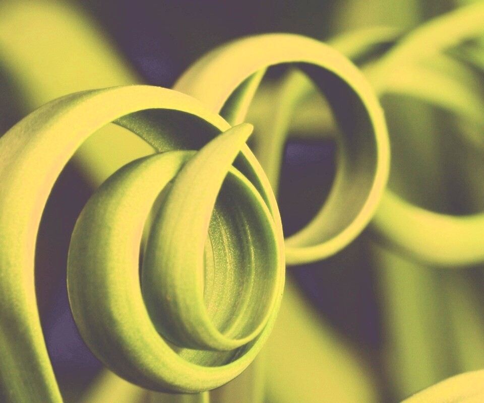 Зеленый обруч обои