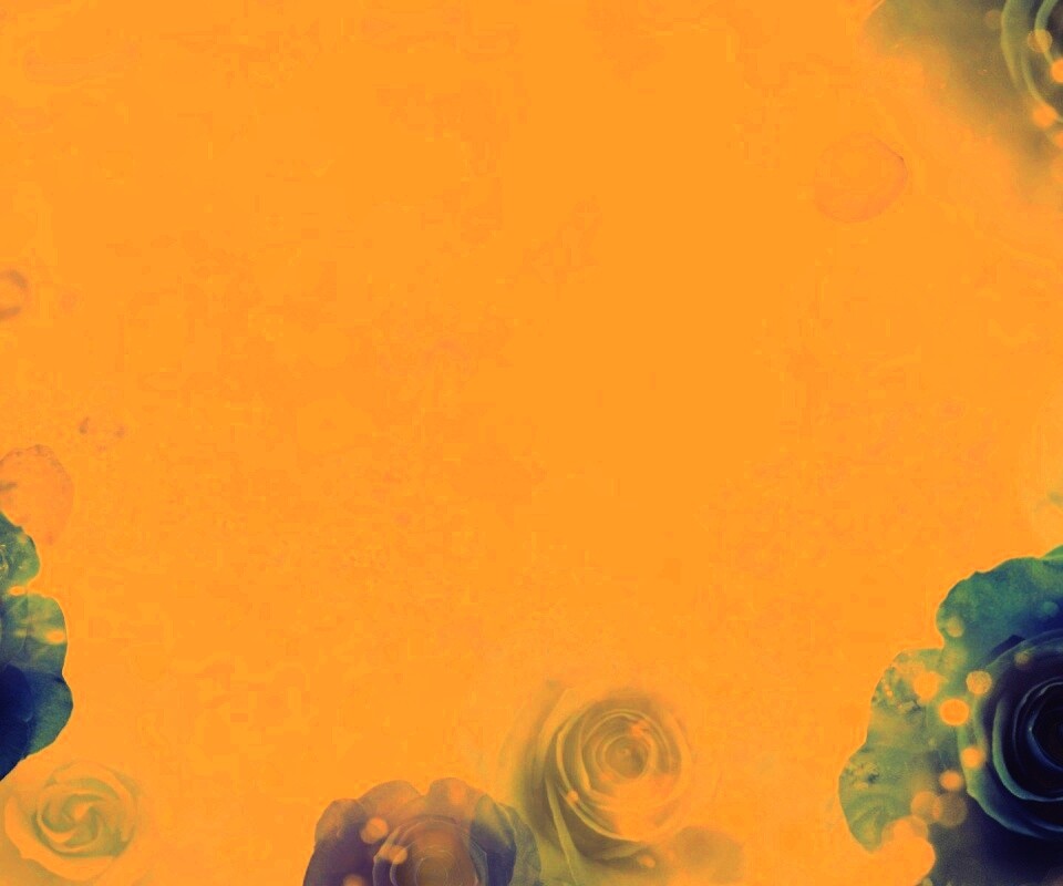 Синие розы обои