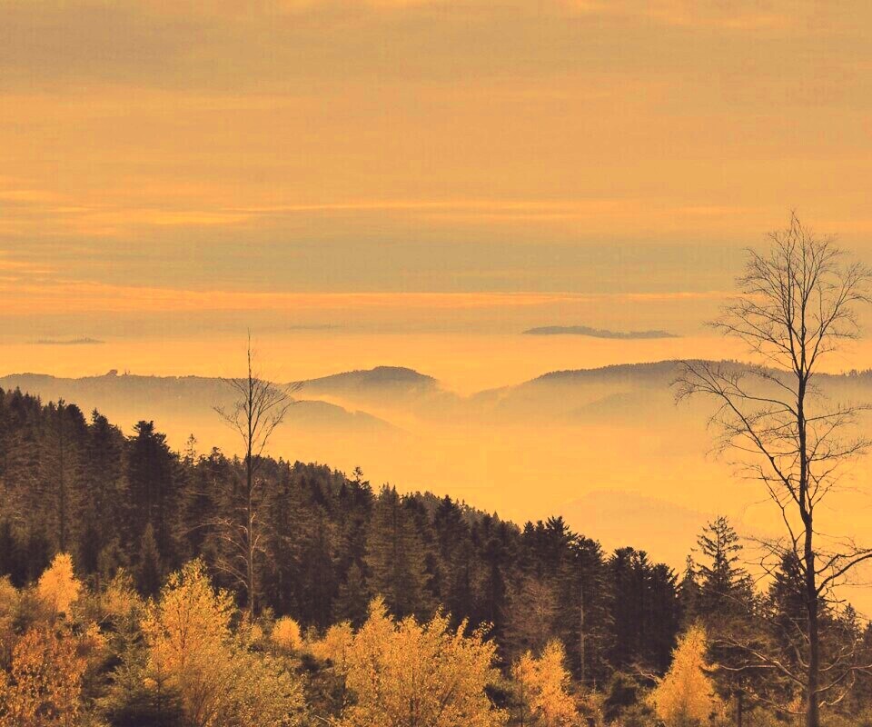 Холмы в тумане обои