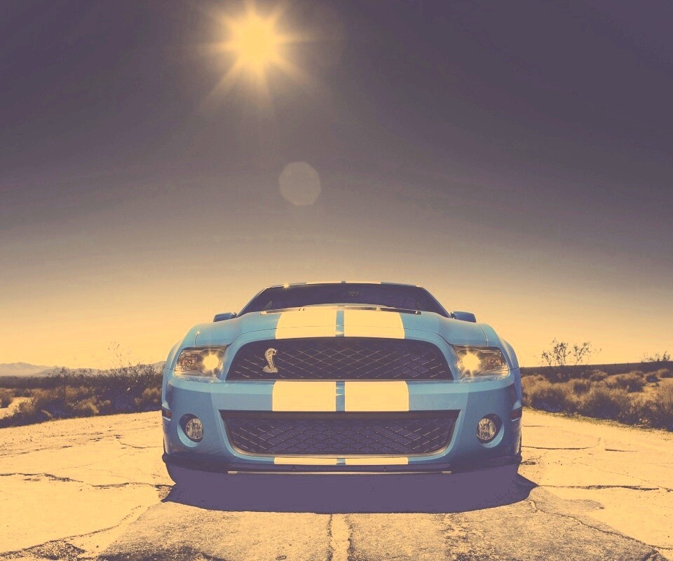 Форд Шелби обои