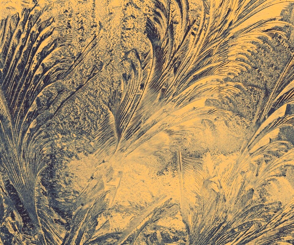 Зимние узоры обои