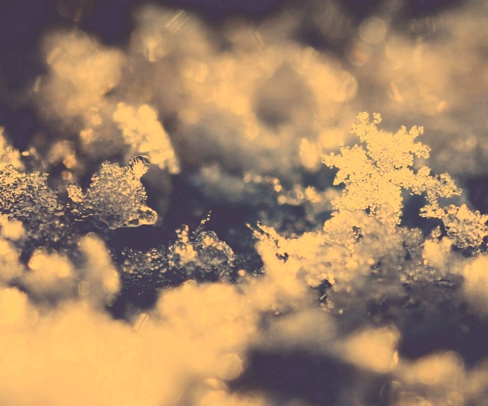 Макро фото снега обои