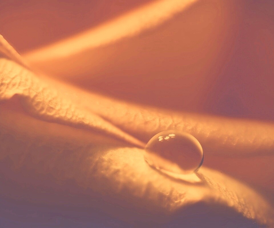 Капелька обои