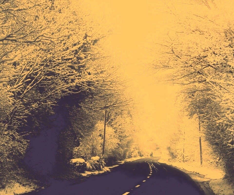 Дорога через зимний лес обои