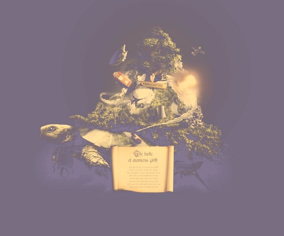 Огромная в обхвате черепаха обои