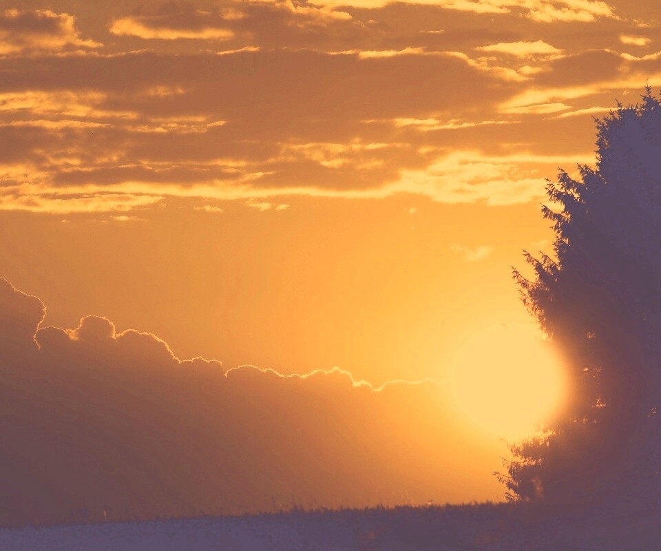 Теплый закат над полем обои