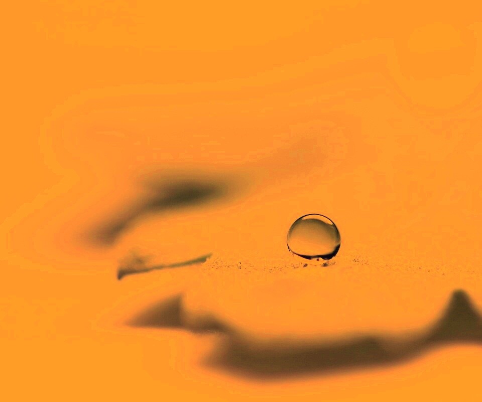 Капля на замёрзжем листе обои